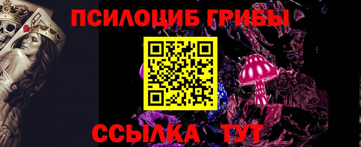 Псилоцибиновые грибы GOLDEN TEACHER  где продают наркотики  Ялуторовск  Галлюциногенные грибы Cubensis  Вход с VPN 